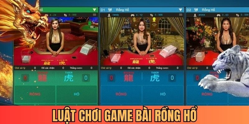 Luật chơi rồng hổ online chi tiết và đơn giản